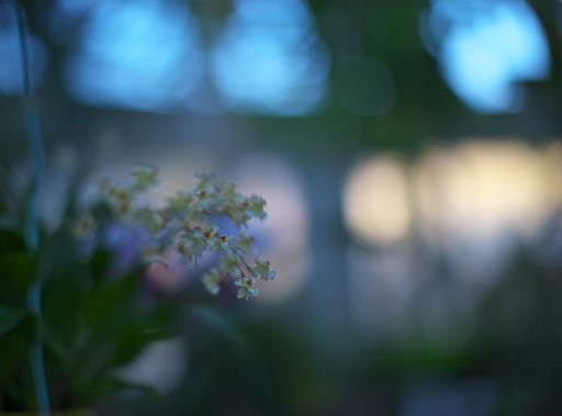 欄