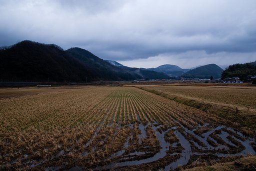 暗い曇り空・・。
