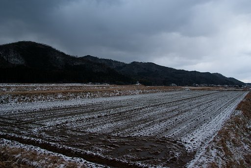 強風が吹き荒れて。