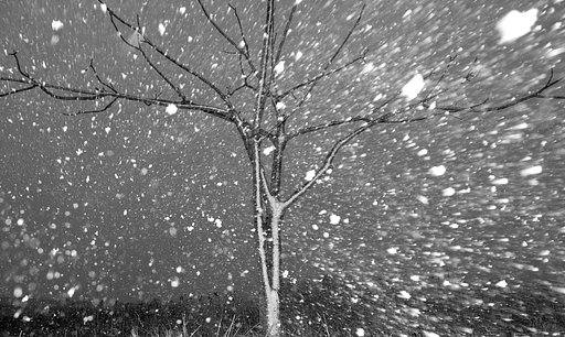 暴風雪