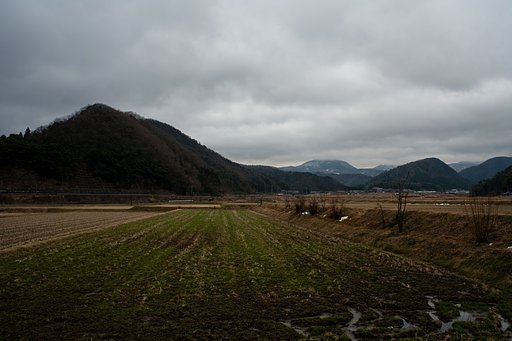 雨がばらばら・・。