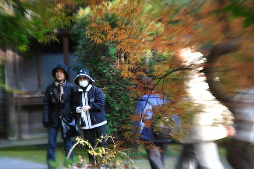 鎌倉はまだ、、