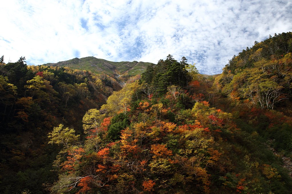 染まり迫る山