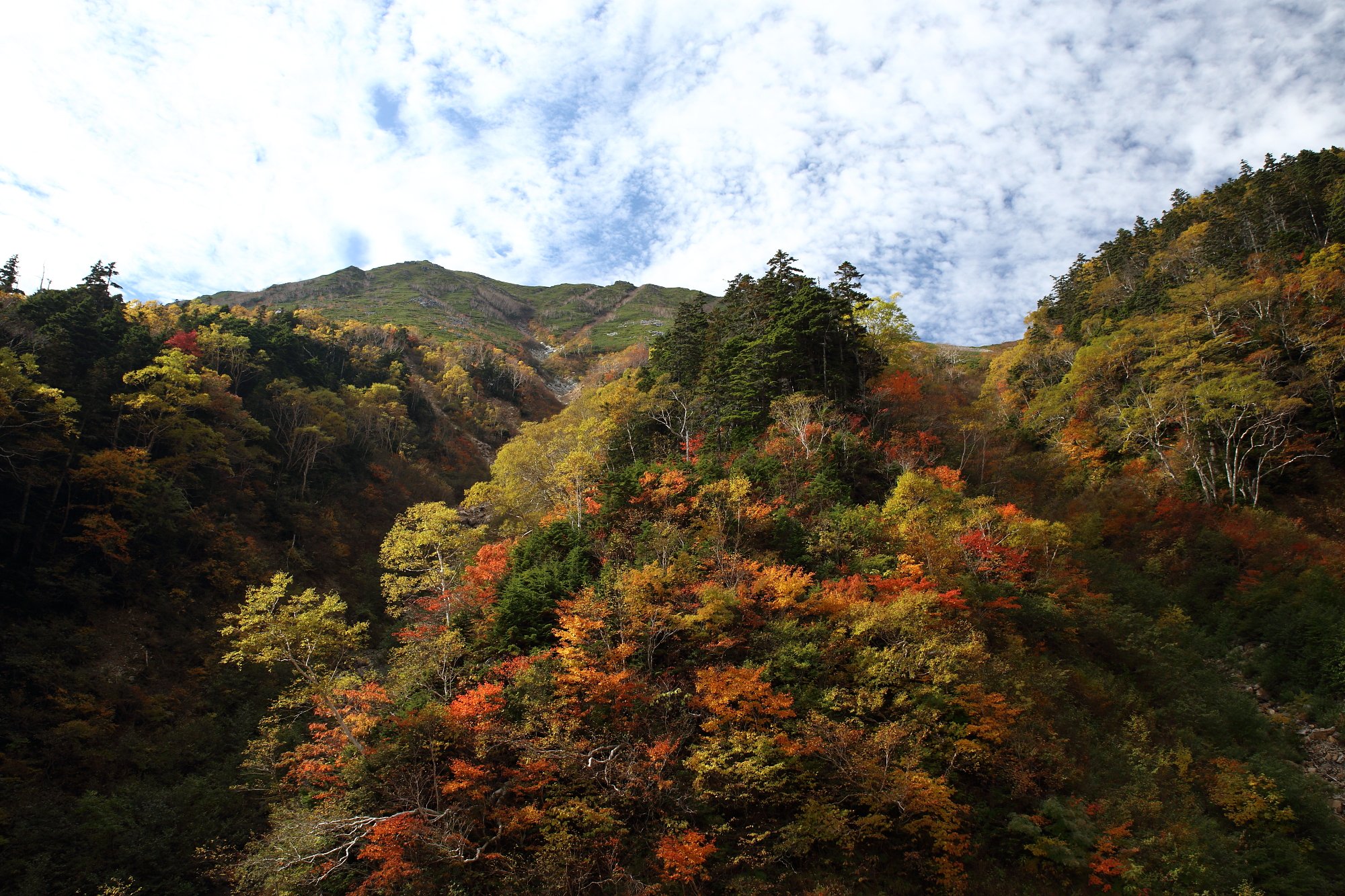 染まり迫る山