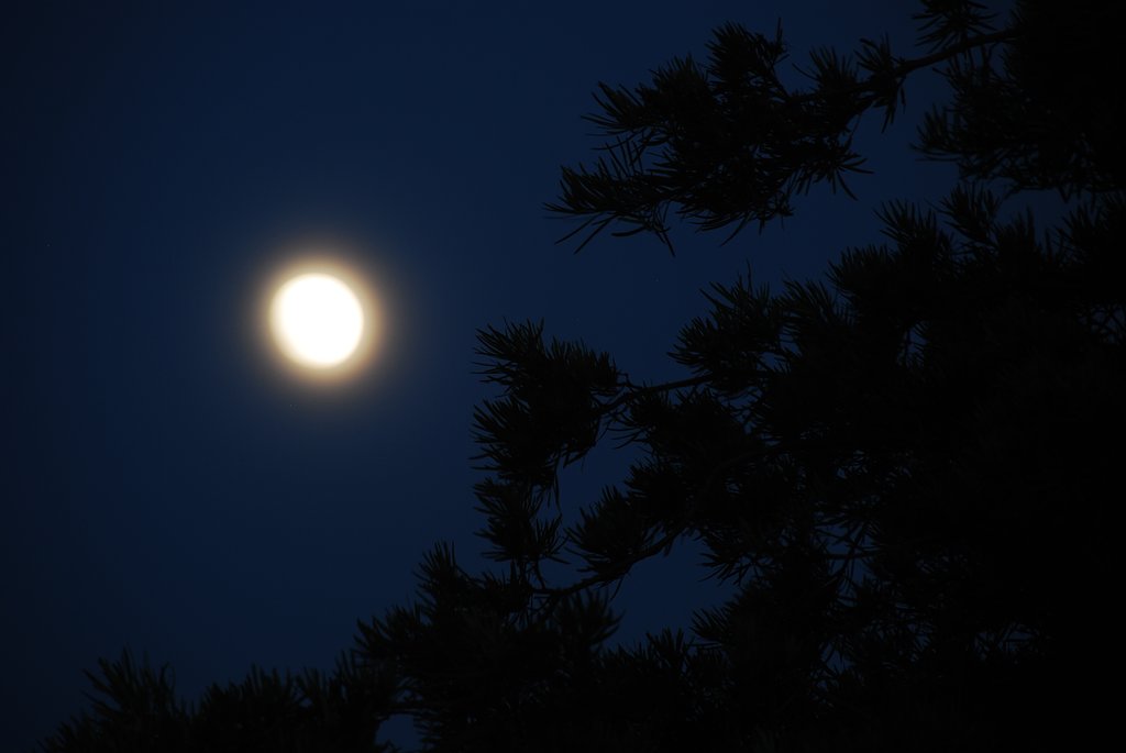 十三夜の朧月