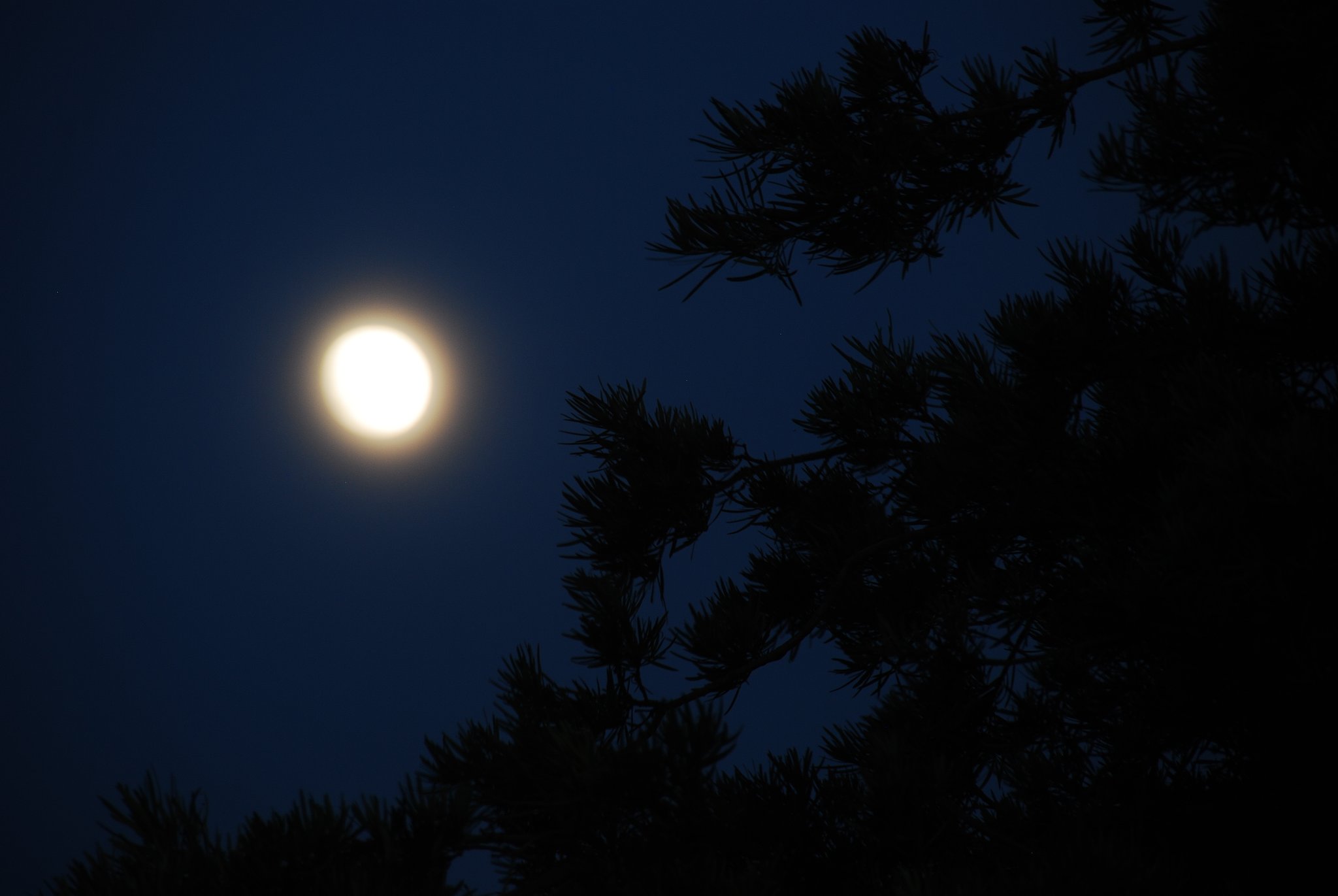 十三夜の朧月