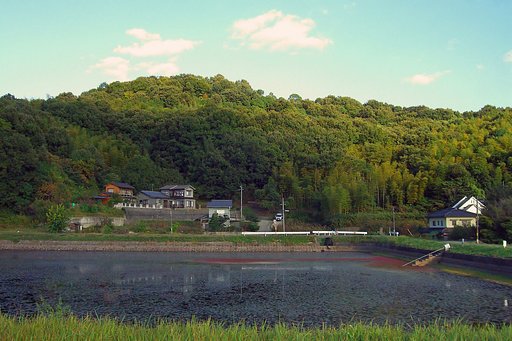 里山の秋風情