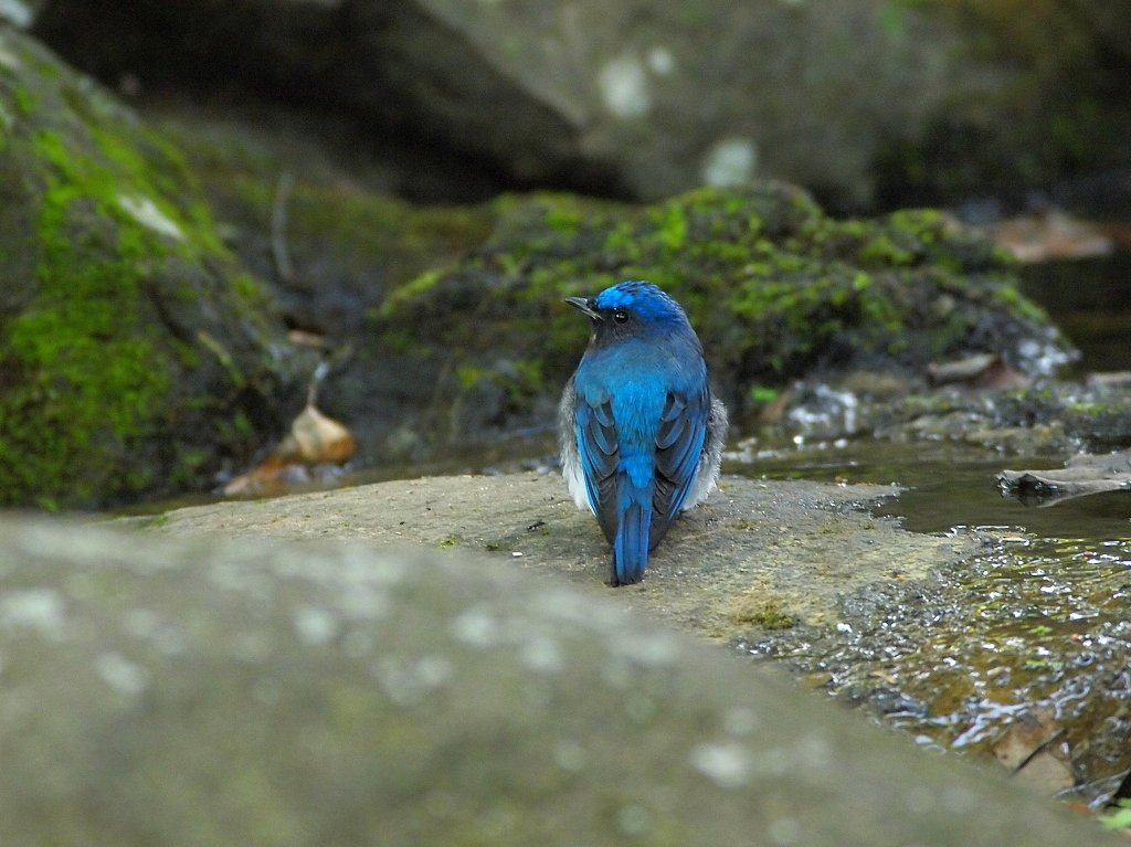 水辺のたたずまい