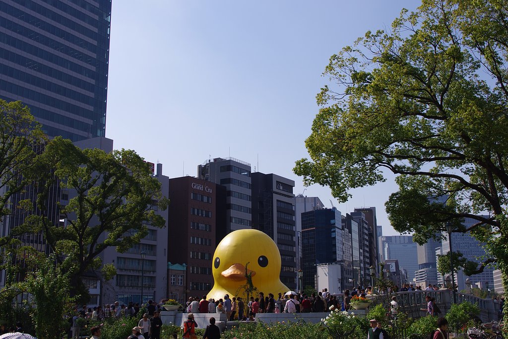 巨大ダック出現