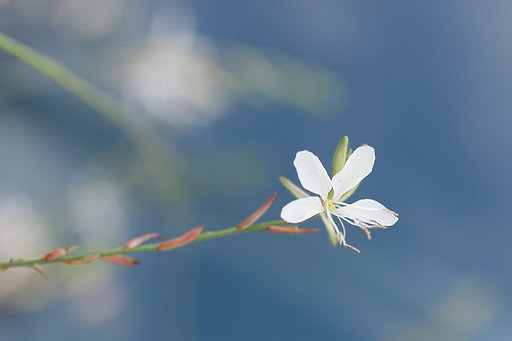 見上げてみると・・・