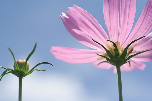 ある夏の日の想い出