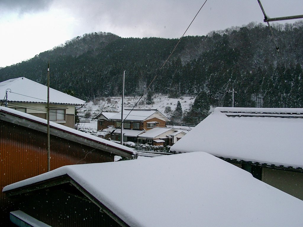 久し振りに雪が・・。