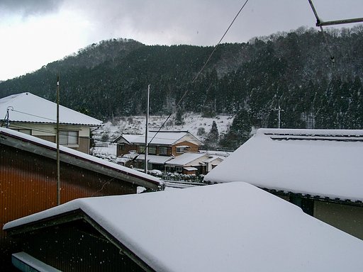 久し振りに雪が・・。
