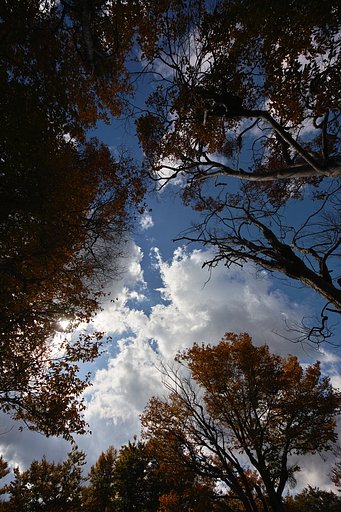 秋の空
