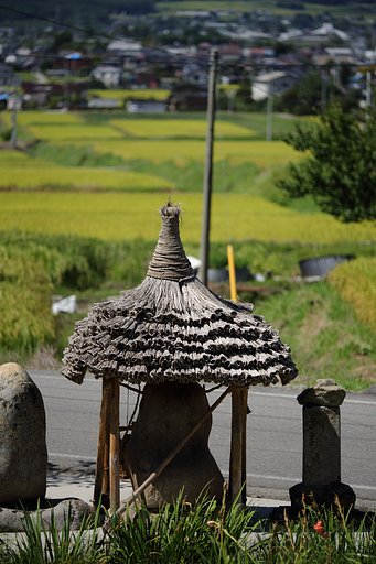 実りを眺む