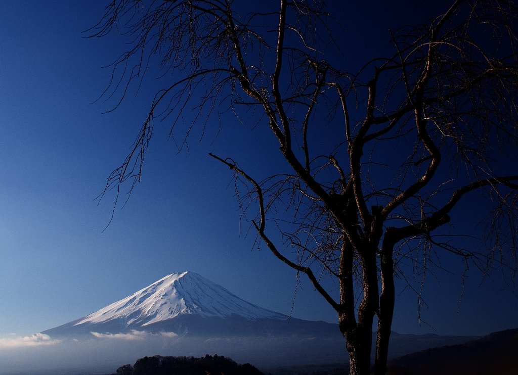 寒山霊蒼
