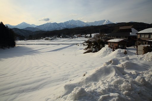 新行・染まり始めの頃