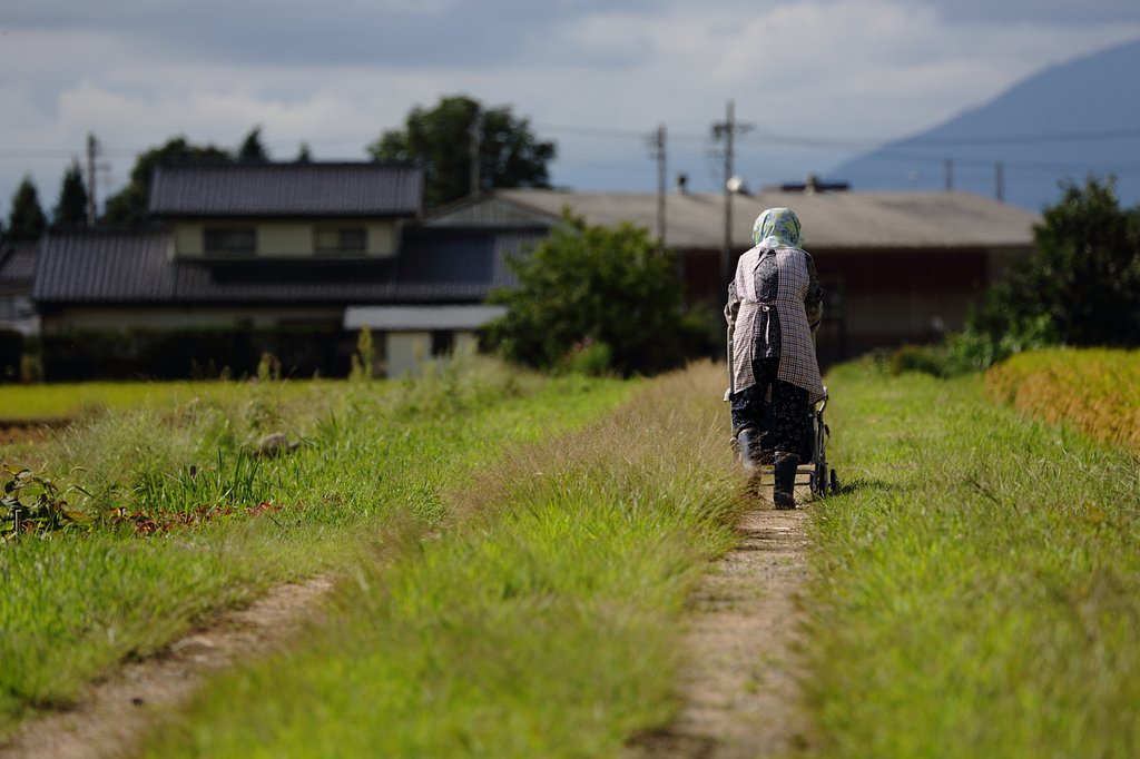 歩んだ道