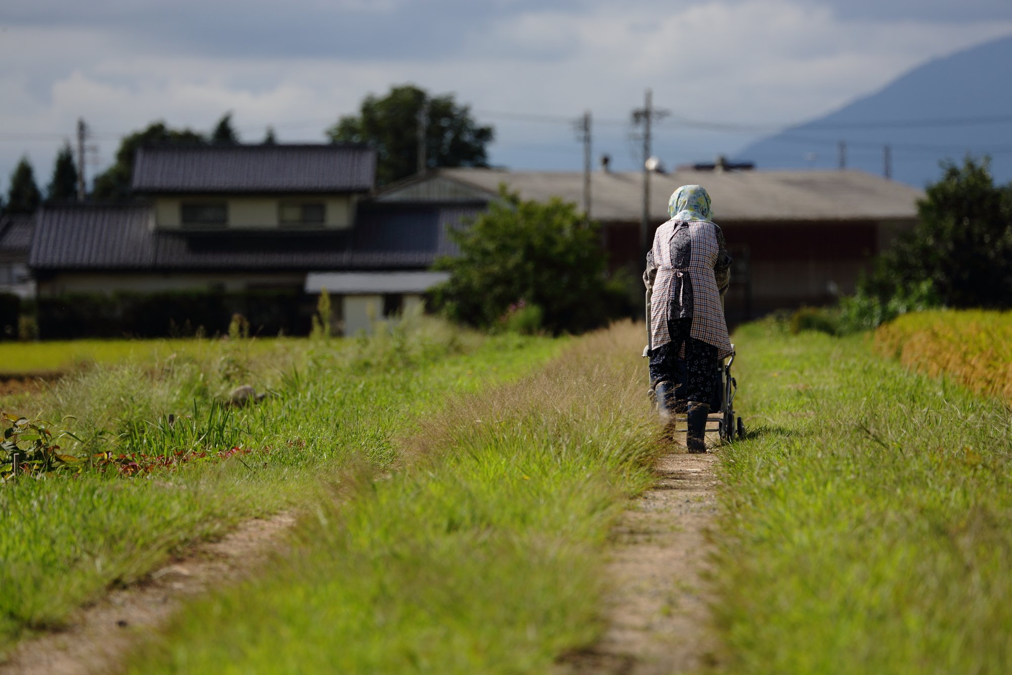 歩んだ道