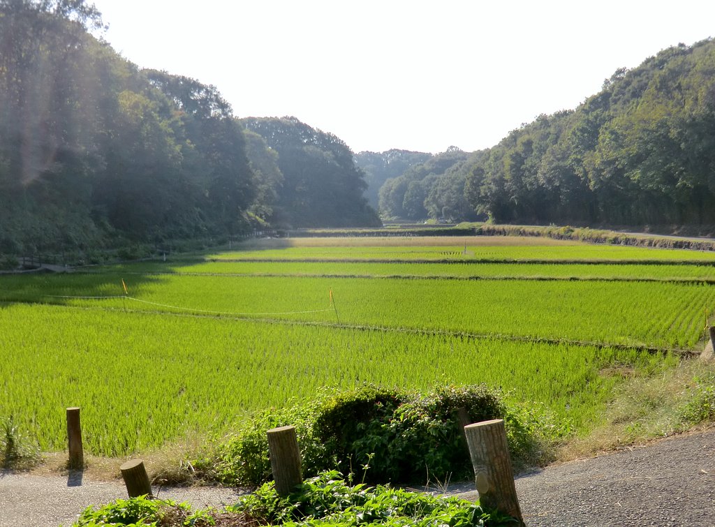 寺家ふるさと村２
