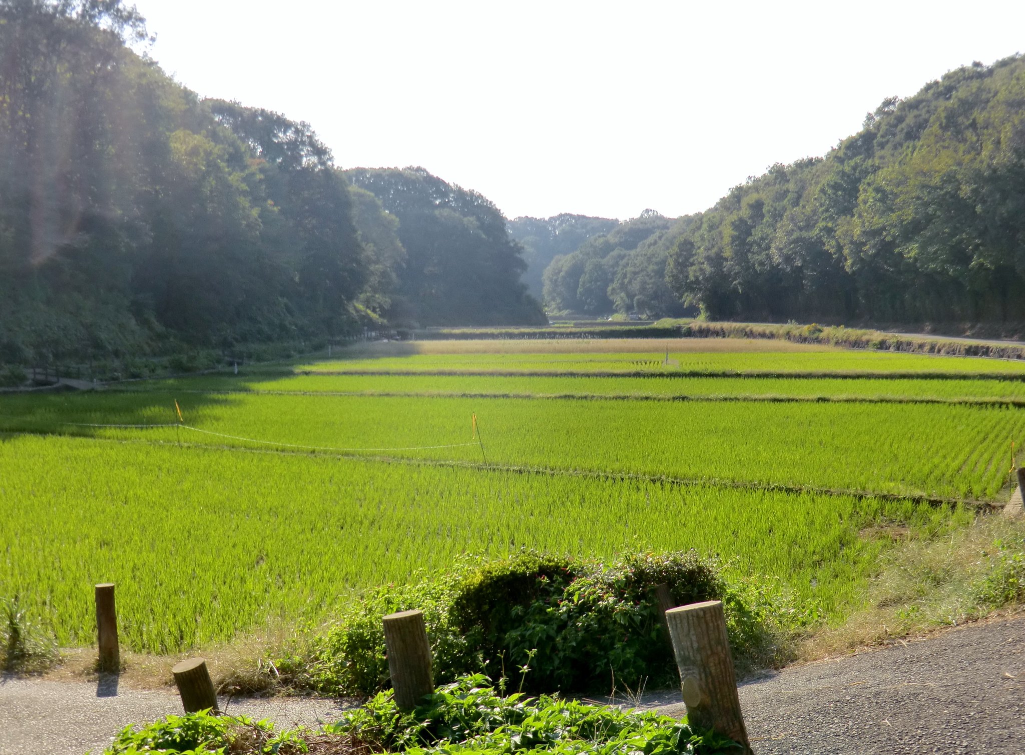 寺家ふるさと村２