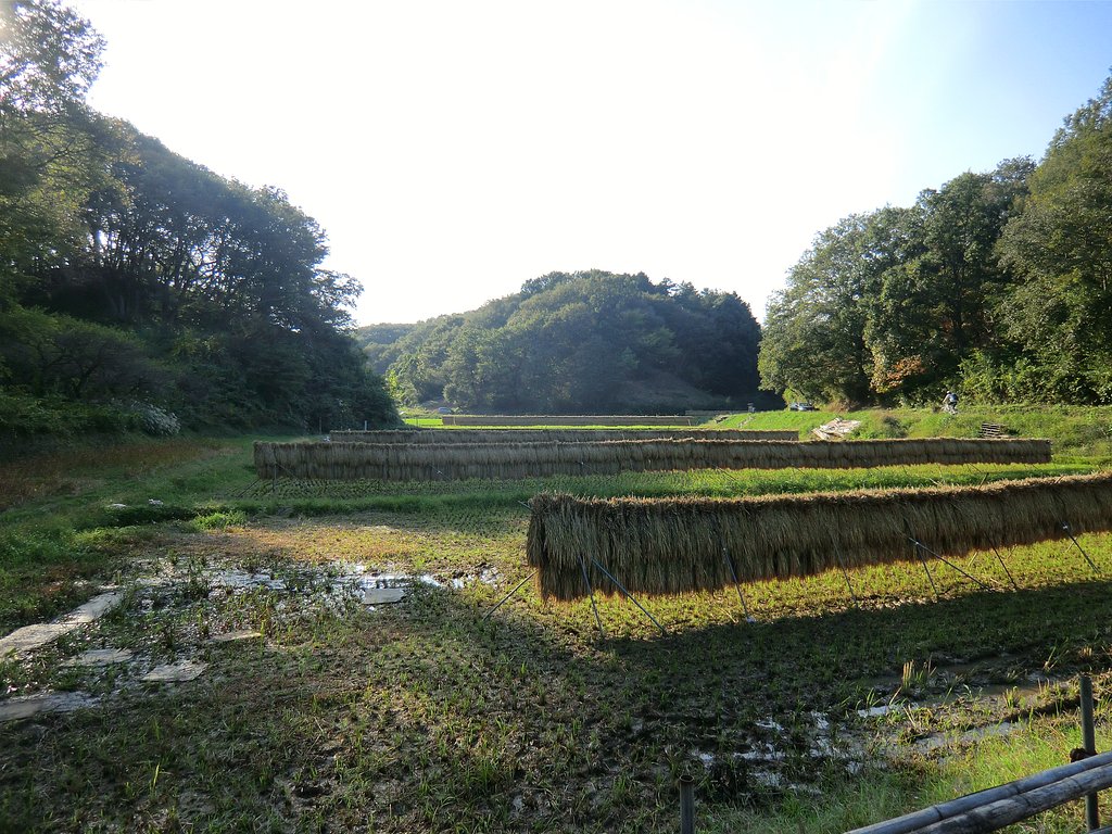 寺家ふるさと村６