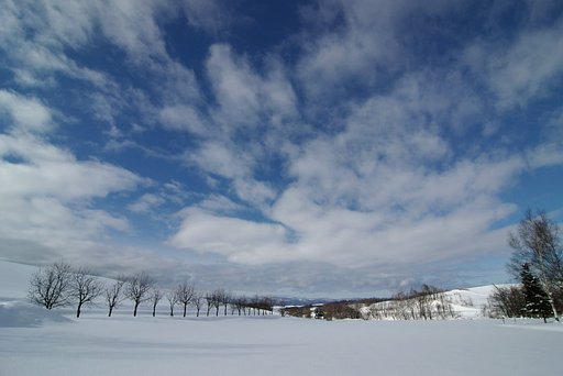 丘の上に空広がる