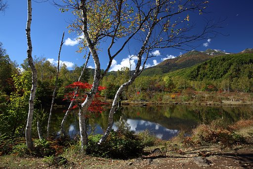 紅一点