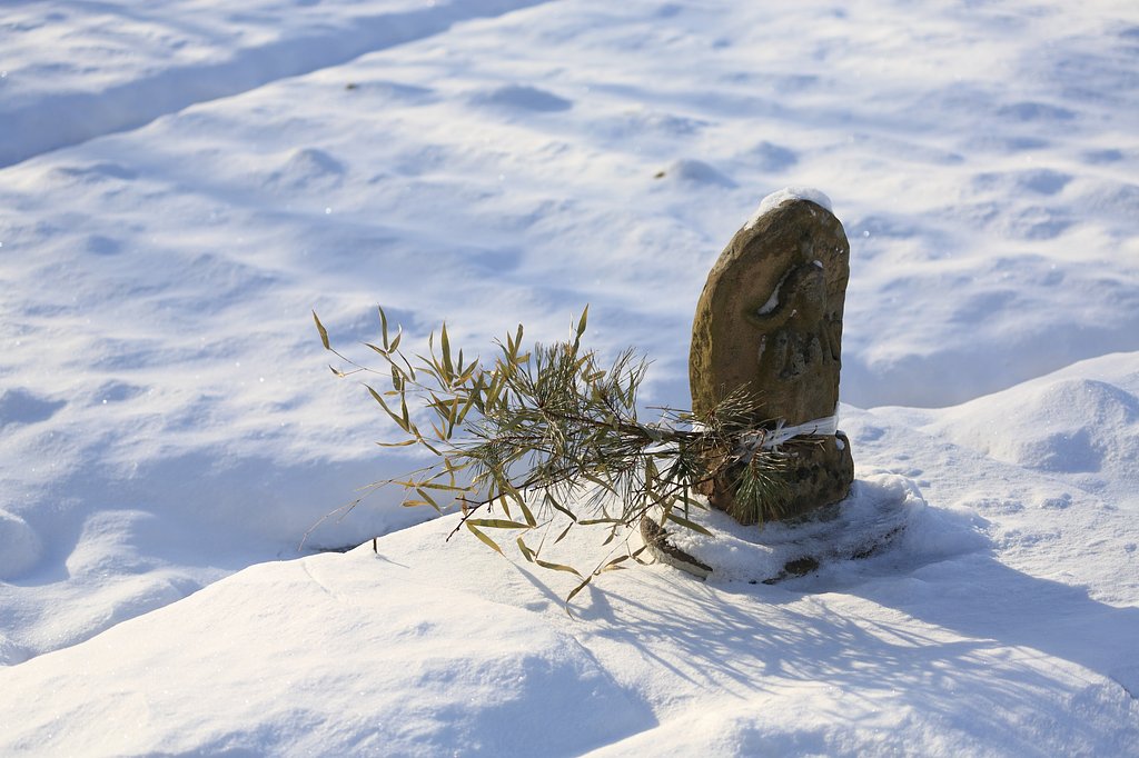雪の後・風の痕