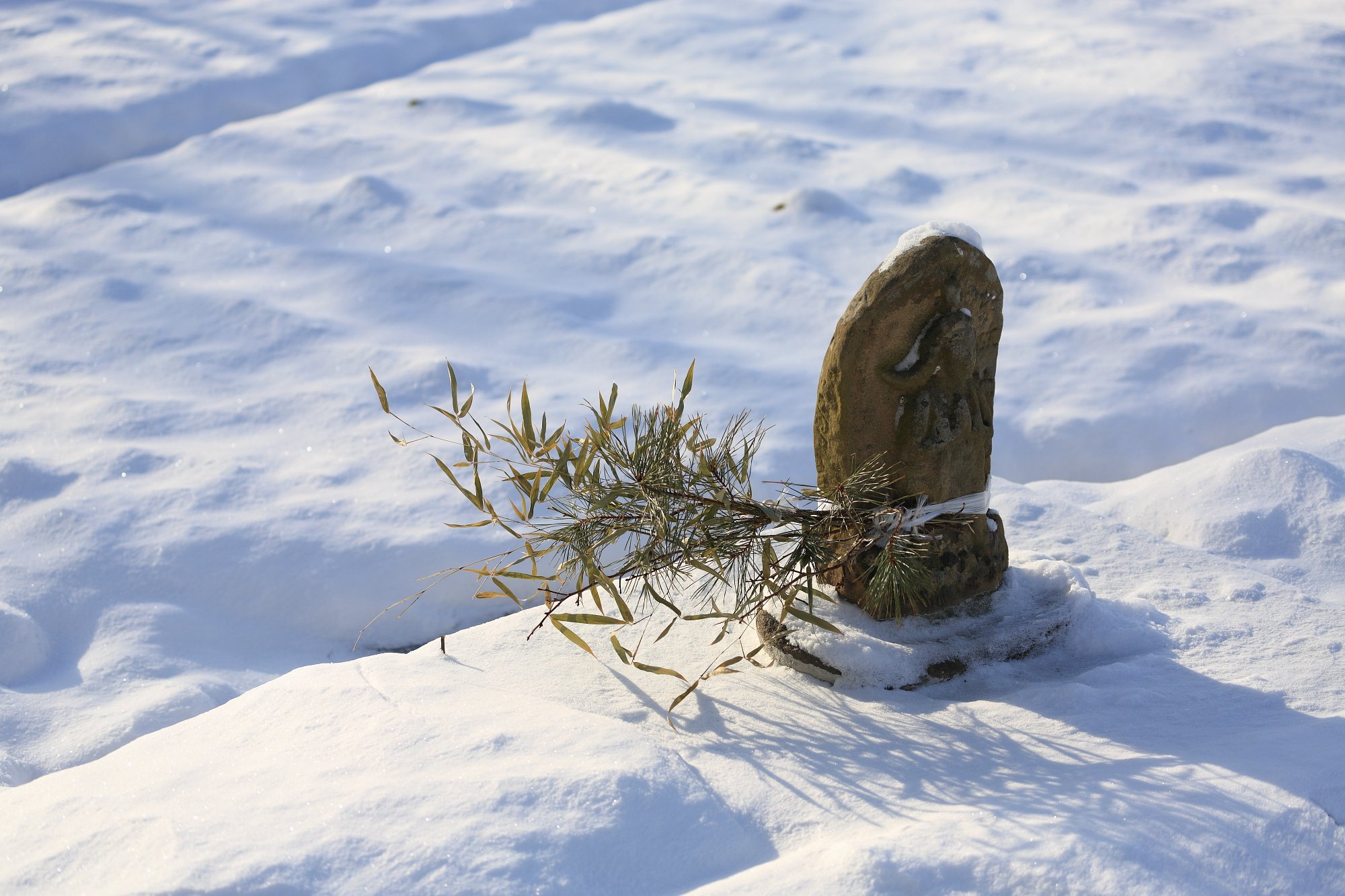 雪の後・風の痕