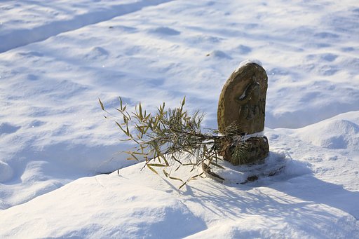 雪の後・風の痕