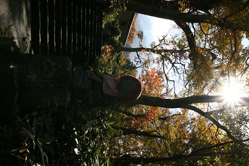 紅葉とお地蔵さん