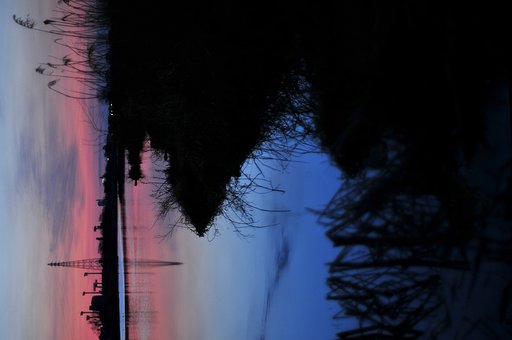 朝の色