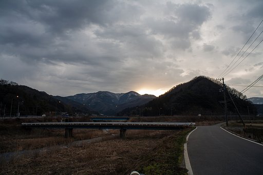 春一番が吹きました。