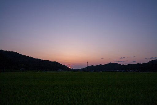雲の少ない夕焼けに。