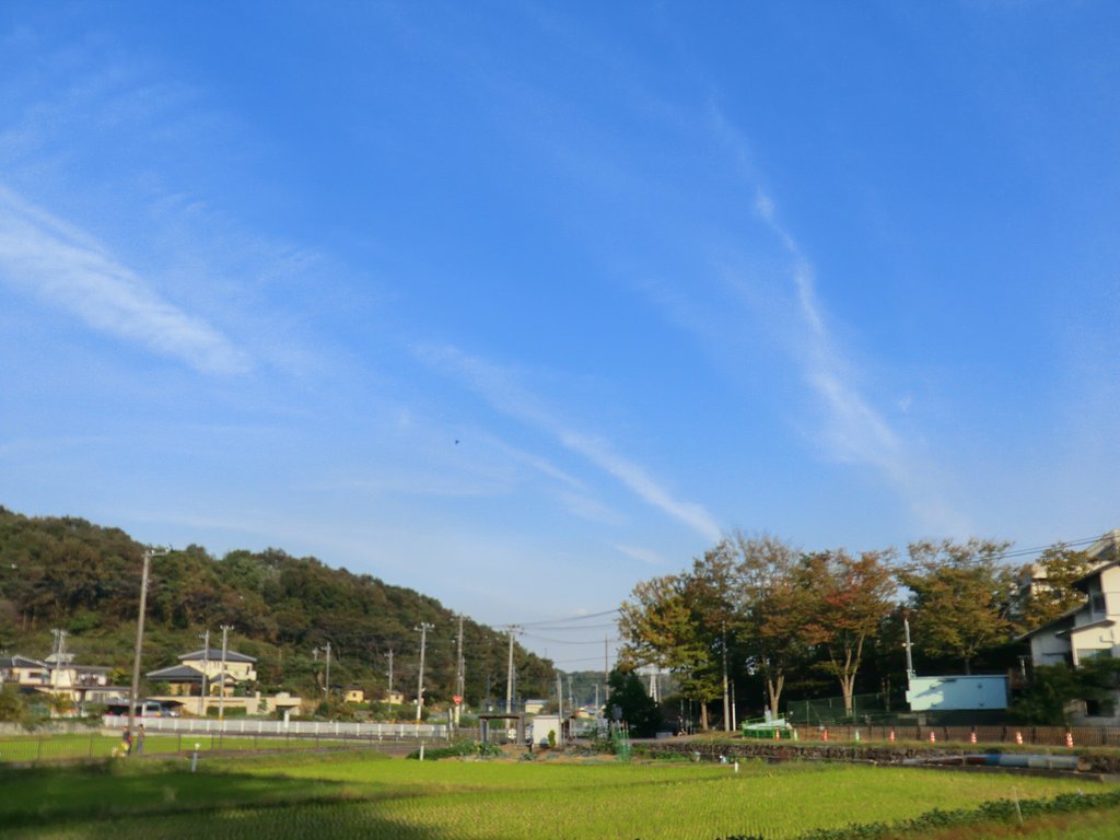 寺家ふるさと村１３