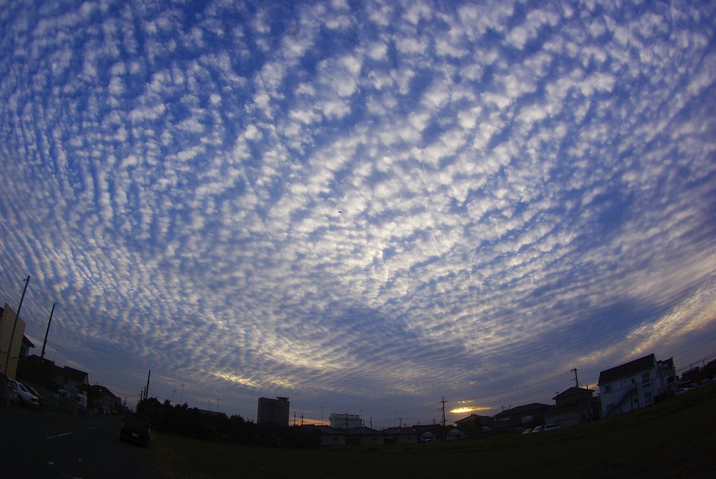 夕暮れのうろこ雲
