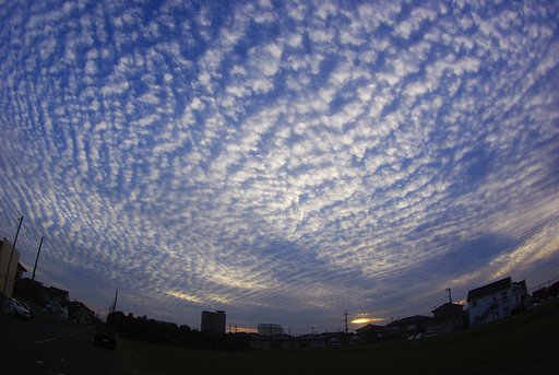 夕暮れのうろこ雲