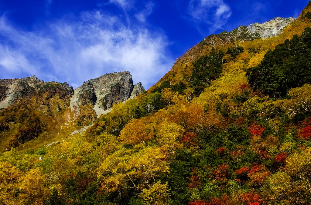 岳沢黄葉