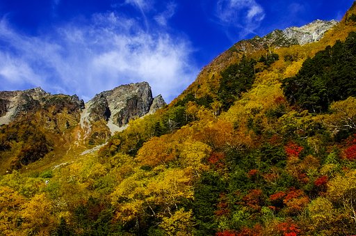 岳沢黄葉