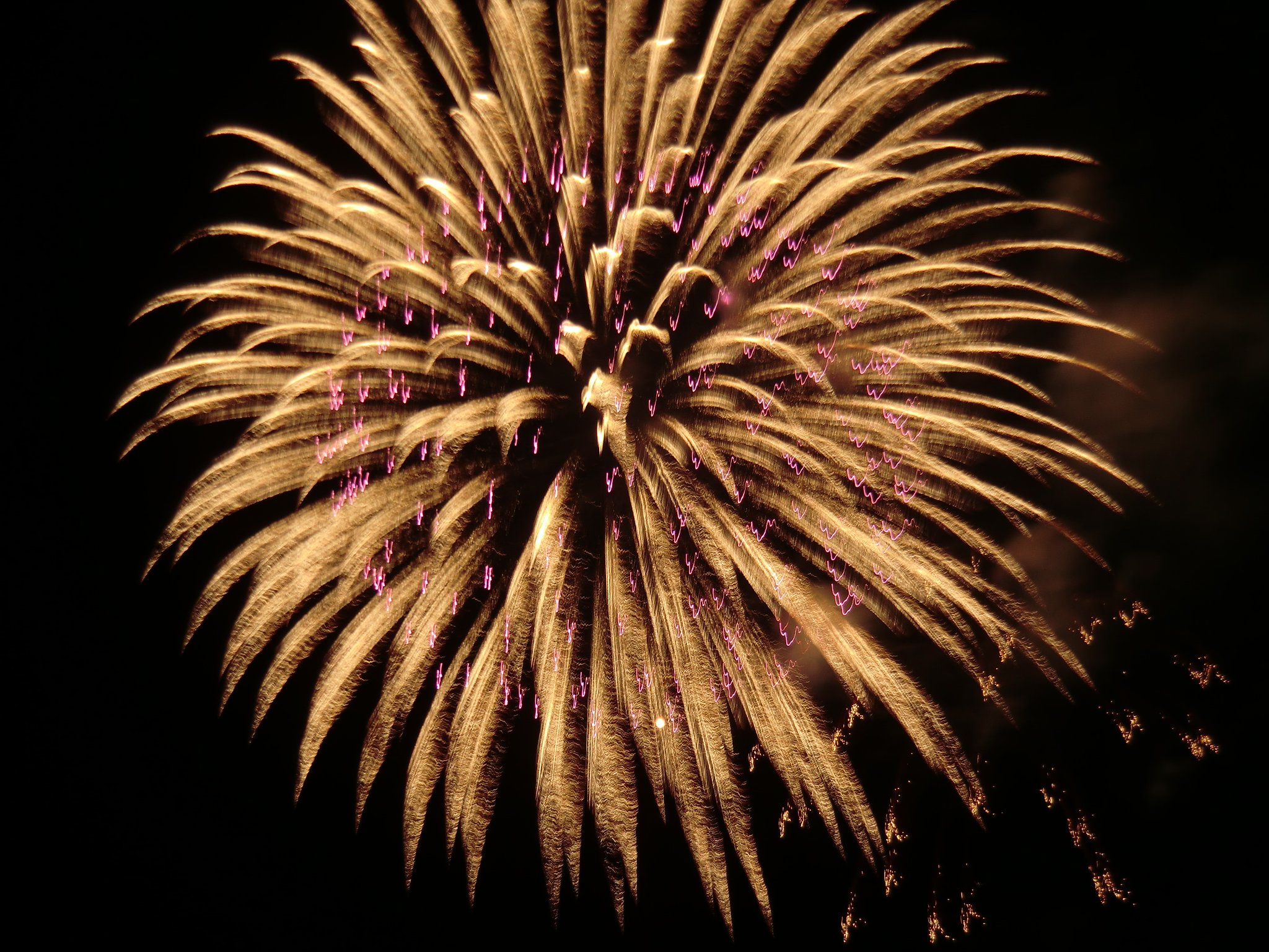 夏花火第４弾