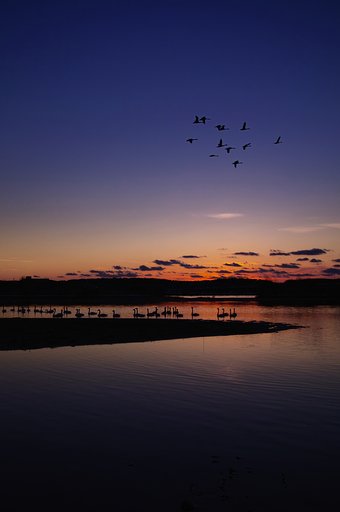最上川の夕暮れ