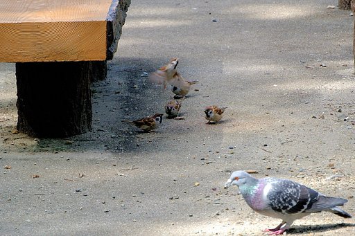 【街角スナップ】ベンチのまわり