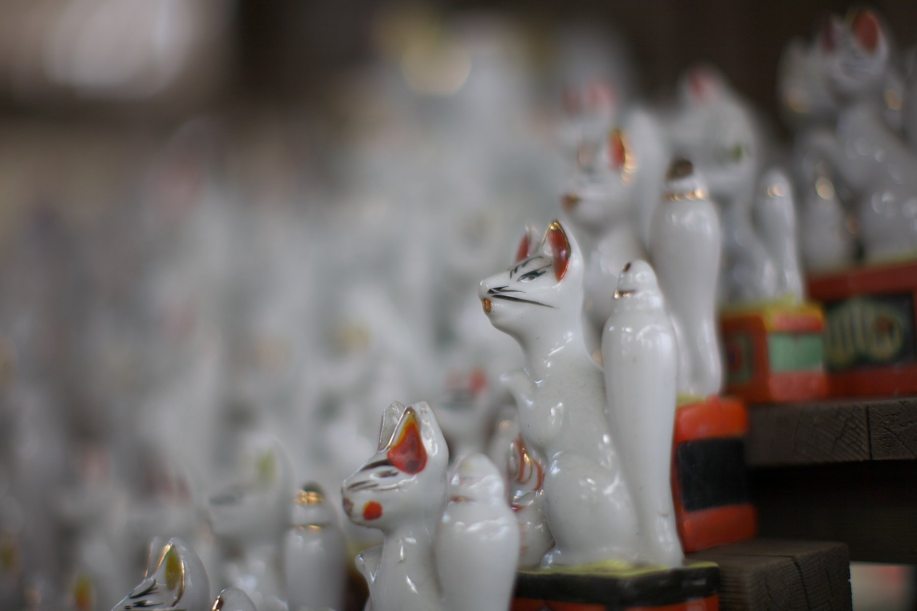 EF50mmF1.2L