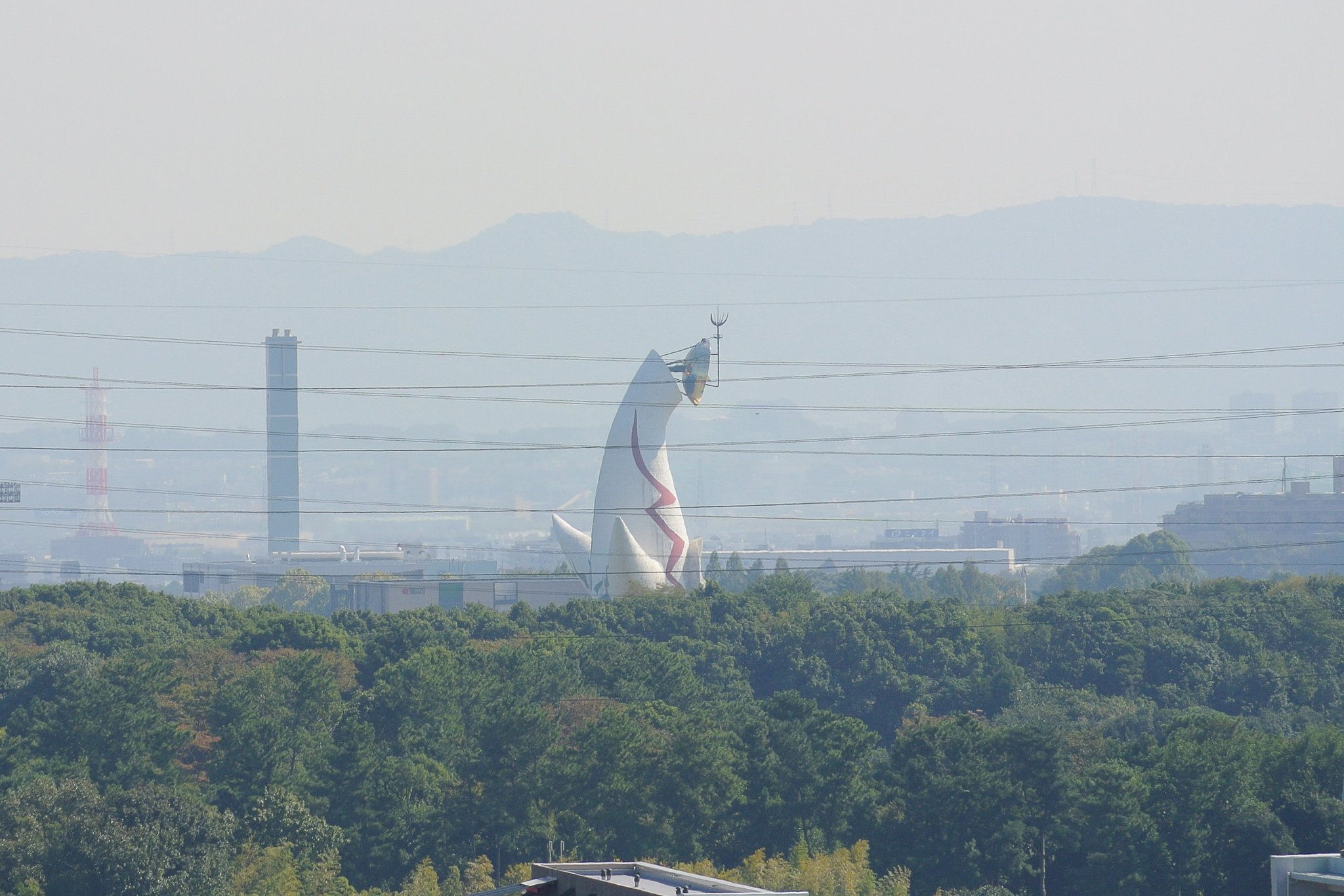 【風を感じて】万博の森にそよぐ秋の風
