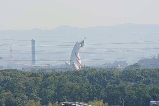 【風を感じて】万博の森にそよぐ秋の風