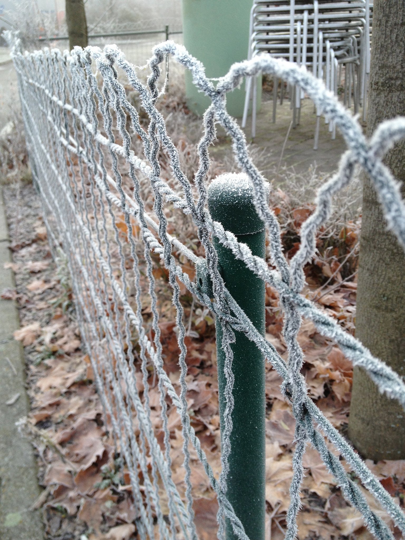 投稿確認ページできました