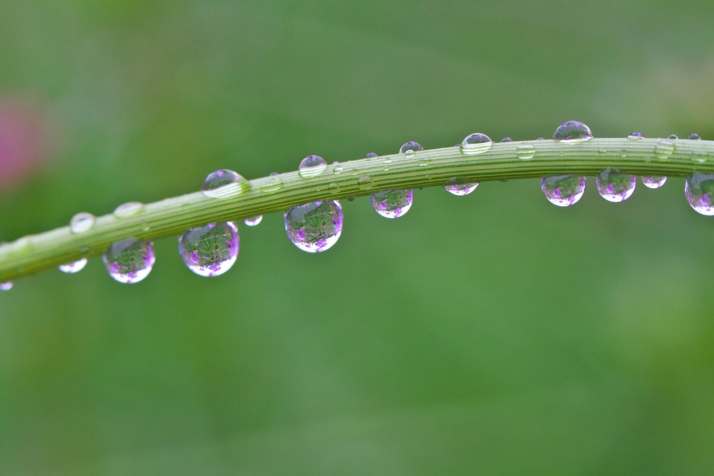 雨の日は・・②