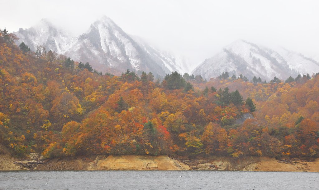 魚沼市奥只見湖の三段紅葉