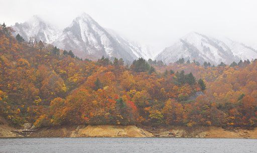 魚沼市奥只見湖の三段紅葉